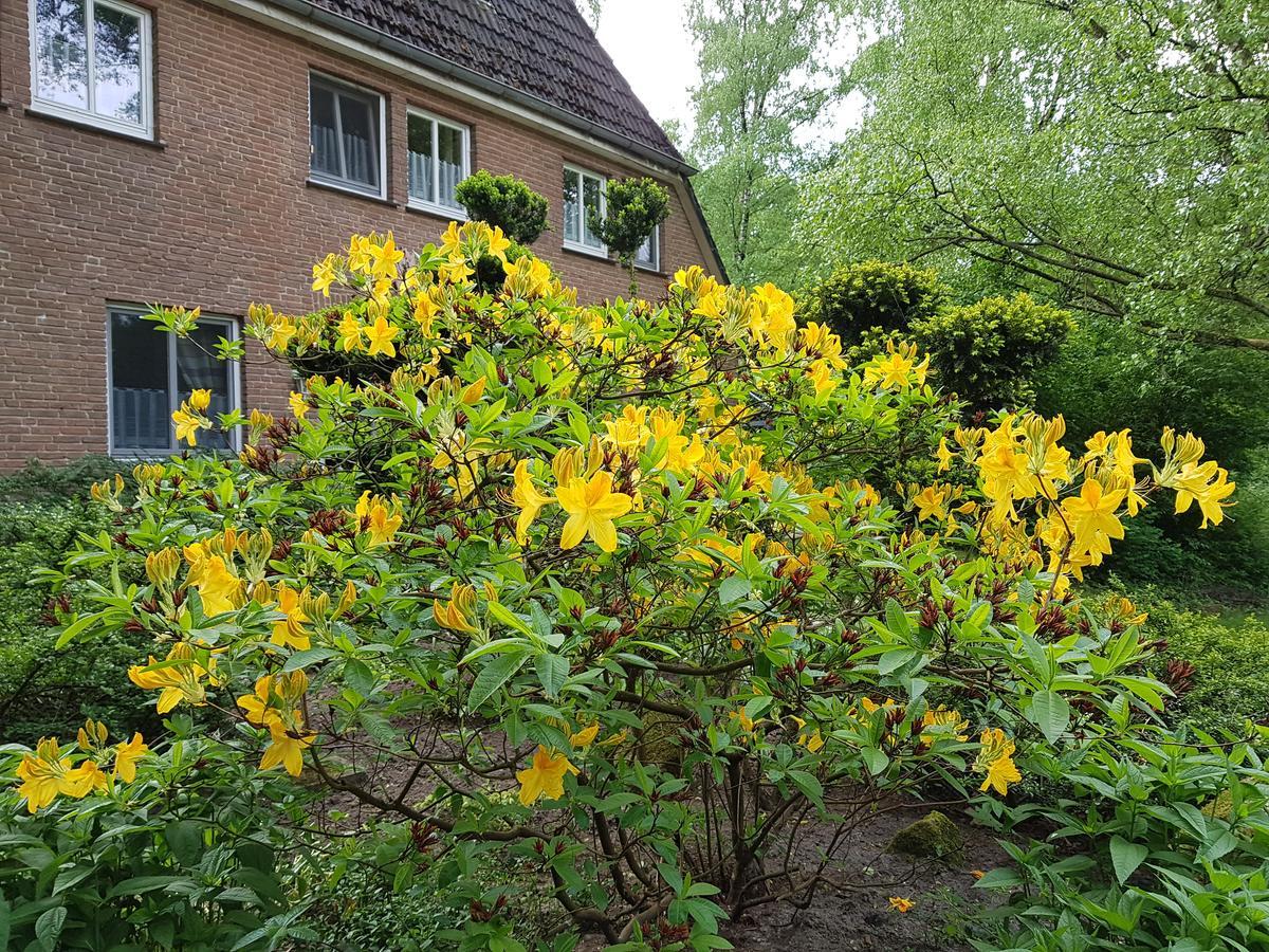'das Kleine Landhaus' Frühstückspension